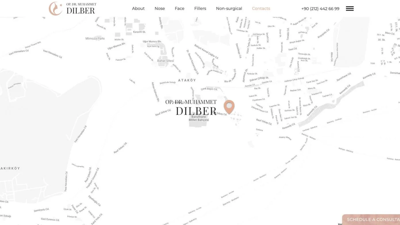 Портфолио проект на Уеб Фактор - Доктор Дилбер - Web Factor